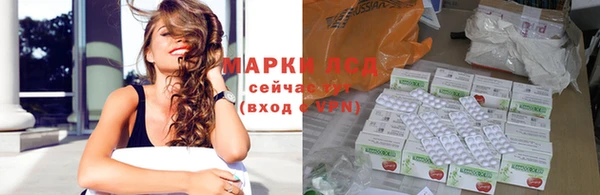сатива Михайловка