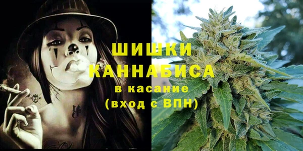 сатива Михайловка