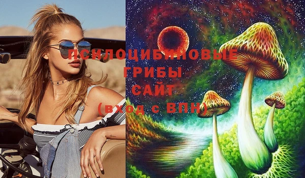 стаф Михайлов