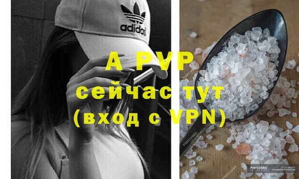 сатива Михайловка