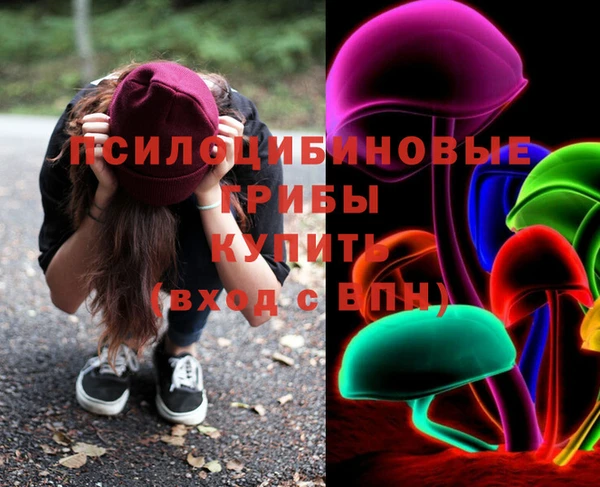 сатива Михайловка