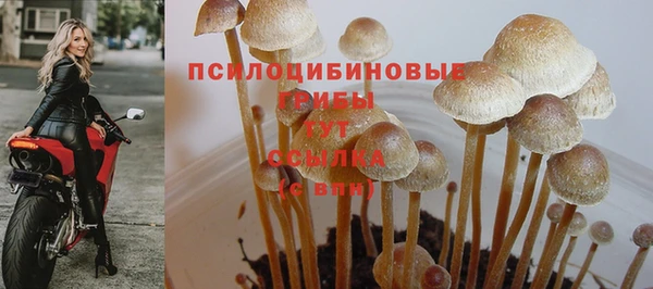 PSILOCYBIN Михайловск