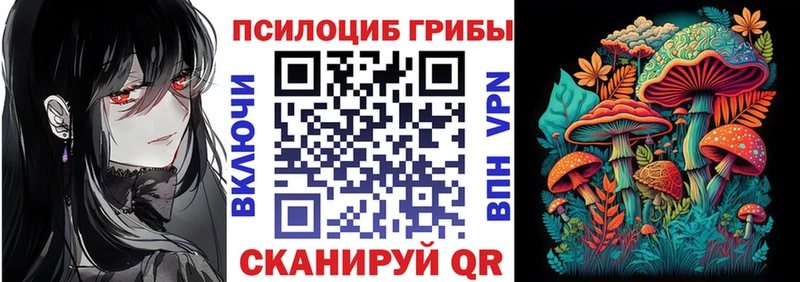 где купить наркоту Нерехта Псилоцибиновые грибы ЛСД