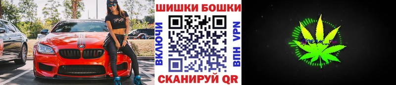 Каннабис планчик  Нерехта 